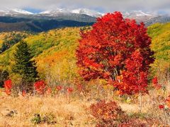 登山は諦め～三段紅葉～満喫ハイキング