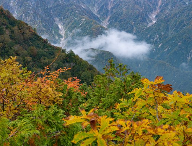 写真好き仲間９人での紅葉撮影グループ旅行2日目。2日目は白馬五竜高山植物園へ。高山植物の花々は、今の時期はほとんどないので、リフトでアルプス平まで行く。自然遊歩道が整備されているので、目の前に迫る唐松岳、五竜岳と紅葉のコラボを狙う撮影である。<br />昨日に続き、どんより雲が多い天気で、昼前には雨に降られるハメになってしまった。ここは、高山植物の花が見られる7月頃にまた再訪してみたいところだった。