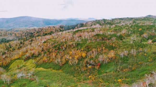 日本一早い紅葉!! 北海道大雪山へ！