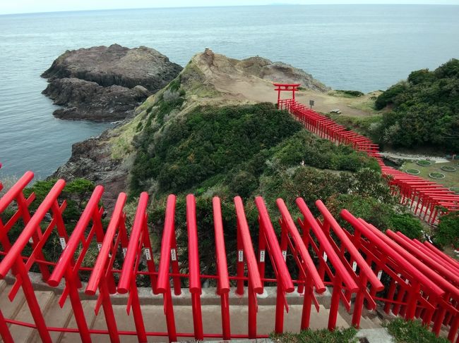 九州ドライブをする時に、車の多い山陽道を避けて、日本海沿いを走るのが好きな私が、数年前に見つけた、青海島。<br />今回は、3度目の立ち寄りです。<br />角島大橋を渡っていく、角島も素敵ですし、日本海側から、下関に向かう国道もまた、海沿いを走る、素敵な道路なんですよね。<br /><br />今回は、いろいろこまめに回ろうと思い、油谷湾の宿に連泊しました。<br />土曜日の松江から浜田市の移動は、車が多くていやになりましたし、日曜日の青海島も悲惨な混み具合でした。<br /><br />車のいない道をのんびりドライブできたはずなのに、今回は、交通量がものすごく多く、道の駅は満車で、人がうようよしてました。ファミレスのジョイフルも、こんな混んだ日はいやだし、と、とうとうランチは食いっぱぐれました(笑)。<br /><br />油谷湾の宿は、とりあえず素泊まりで予約して、その後、食事付きに変えようかと試みた時には、だいぶ手前でチェックしたにも関わらず、満室気味でした。そして、チェックインした時に、フロントの方曰く、な、な、な、なんと、来年の1月末まで、毎日毎日ずっっっっと満室だそうです。<br /><br />やっぱり、ものすごいGo to キャンペーンの効果です。<br />そして、表紙の写真にした、以前、京都の伏見稲荷の近くに住んで、あのお山をウォーキングルートにしていた私から見たら、どうってこない、この鳥居の元乃隅神社が、何かのランキングに紹介されたとかで、日曜日は、宿から15分の距離の神社に、1-2時間の渋滞が発生したそうです。<br /><br />パワースポットのブーム、そしてまた、インスタ映えの人気で、青空と赤い鳥居の対比が美しく、今、人気大絶頂です。週末には、近寄らないことをお勧めします(笑)。<br /><br />フロントで、詳細な地図をいただいて、私は、連泊の二日目、月曜の朝、みなさんが旅館の朝食を召し上がっている時間帯、朝7時ごろに出て、神社を目指しました。<br />おかげで、通行量はほとんどなく、また、神社の脇には、第一、第二駐車場も完備され、斜面を利用して、上手にたくさんの台数を停めれるように工夫されてました。<br />朝7時過ぎに、すでに整理案内の人もいて、車も5台ほどはとまってました。<br /><br />ナビに出ないのですが、元乃隅神社ではなく、「龍宮の潮吹」、という名称で入れると、ナビに出てきました。<br />村の道路は、基本的に二車線ありますが、神社へのアプローチは、数キロぐらいかしら、部分的にすれ違い不可の隘路です。そりゃあ、ここをサンデードライバーが行けば、渋滞するでしょうね。<br /><br />ここのもう一つの名所、「千畳敷」は、広々とした草原で、広々とした駐車場もトイレも完備しているし、ここまでなら、二車線の道路がついていて、アプローチも楽です。<br /><br />この神社はもう、2度と行きません(笑)。<br /><br />今回、月曜日には角島も、青海島も、スイスイと走りましたが、私はやっぱり、青海島が大好きです。遊歩道は、階段が多くて、今回はパスしましたけど、天気がめっぽう良かったので、海を見ながらドライブするのが、素敵でした。<br />(その大好きな景色は、ドライブ・スルーで楽しんだので、写真はなく、ごめんなさい。)