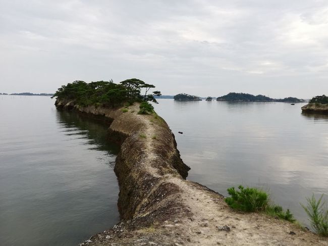 例年なら海外のあやしい国巡りに出る今年の夏期休暇は、学生の時以来の東日本周遊の旅に出ることにしました。青春18きっぷと北海道＆東日本パスを利用した鉄道の旅。基本的に初めての場所、20年以上ご無沙汰の場所を中心にグルメや観光列車なども含めマイペースに周ってみました。宿泊はGotoキャンペーン＆地域キャンペーンのおかげでほぼ4,000円未満。道中はほとんど1人で行動し、会話も最低限のみ。途中2度も仕事で宮城に立ち寄ることや新型コロナウイルス感染拡大の影響もふまえ、「東日本一周」にしてはかなり無駄のある変則的な行程となりました。<br /><br />《行程》<br />8/7 仕事の後、名古屋へ。<br />8/8 名古屋→妻籠（五平餅）→松本(松本城・山賊焼き・信州そば）→穂高→[ﾘｿﾞｰﾄﾋﾞｭｰふるさと]→長野<br />https://4travel.jp/travelogue/11647106<br />8/9 長野（善光寺）→[おいこっと]→十日町→[ゆめぞら]→十日町→長岡（へぎそば）→柳都Shu*kura→青梅川→新潟<br />https://4travel.jp/travelogue/11648365<br />8/10 新潟→村上（サラダホープ・バスセンターのカレー・鮭）→[海里]→鶴岡→新庄(だし）→[とれいゆつばさ]（いも煮）→天童→山形→北仙台<br />https://4travel.jp/travelogue/11649361<br />8/11 古川→花巻→釜石→[三陸鉄道]→宮古（浄土ヶ浜）→久慈→八戸（イカ飯・せんべい汁）→[シルバーフェリー]→<br />https://4travel.jp/travelogue/11649680<br />8/12 苫小牧→室蘭(地球岬×）→千歳（サーモンパーク千歳・ザンギ）→札幌（大通公園・時計台・スープカレー）<br />https://4travel.jp/travelogue/11650718<br />8/13 札幌→滝川→富良野→美瑛（四季彩の丘・青い池・白ひげの滝・ソフトカツゲン・中華饅頭）→旭川（ビタミンカステーラ・わかさいも）→札幌（焼きそば弁当）<br />https://4travel.jp/travelogue/11651414<br />8/14 札幌（回転寿司）→小樽（運河）→札幌（海鮮料理）<br />https://4travel.jp/travelogue/11652381<br />8/15 札幌（にぎりめし）→冨浦→洞爺→長万部（かにめし）→大沼→函館（塩ラーメン・函館山夜景）→[津軽海峡フェリー]→<br />https://4travel.jp/travelogue/11653042<br />8/16 青森→弘前（弘前城）→[リゾートしらかみ]→千畳敷→秋田（稲庭うどん・きりたんぽ・じゅんさい・いぶりがっこ・バター餅）→横手（かまくら館・横手焼きそば）→古川<br />https://4travel.jp/travelogue/11654198<br />8/17 宮城で仕事＆通院＆松島海岸（馬の背）<br />　　　　　《今回のお話はコチラ》<br />https://4travel.jp/travelogue/11654561<br />8/18 仙台→福島（酪王カフェオレ）→新白河（白河ラーメン）→那須（那須ロープウェイ・那須湯本温泉）→宇都宮（レモン牛乳）→高崎（登利平）<br />https://4travel.jp/travelogue/11654601<br />8/19 高崎→横川（碓氷峠鉄道文化むら）→軽井沢→小諸（懐古園）→[HIGHRAIL1375]→清里→上諏訪→松本<br />https://4travel.jp/travelogue/11655953<br />8/20 松本→信濃大町→立山黒部アルペンルート(黒部ダム・黒部湖・大観峰・室堂）→富山→金沢（ゴーゴーカレー）→福井→京都<br />https://4travel.jp/travelogue/11656407<br />