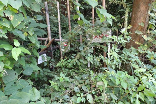 上永谷町境の山道(https://4travel.jp/travelogue/11651228)から野庭町(上野庭)の谷戸の中腹に下り、小山台に通じていた山道は小菅ヶ谷北公園散策の森ゾーンで消滅ししている。それにしても、小菅ヶ谷北公園から下の小さな谷戸のU字型の道路で囲まれた畑の横に出るであろう山道は何と急な谷を下りて行くのだろう。その急勾配のために、今の時代では通る人がいなくなってしまったのであろうか?<br />(表紙写真は小菅ヶ谷北公園散策の森ゾーンで閉鎖された山道)