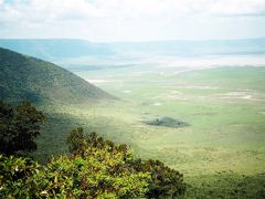 絶景！野生動物の楽園「ンゴロンゴロ保全地域」｜タンザニアでサファリ②