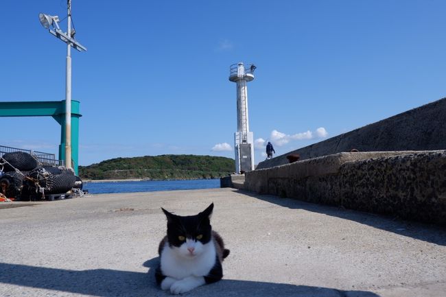 年10月 Go To 福岡 2泊3日旅行 ２ パンと相島と猫と香椎線 福岡県の旅行記 ブログ By 遊上さん フォートラベル