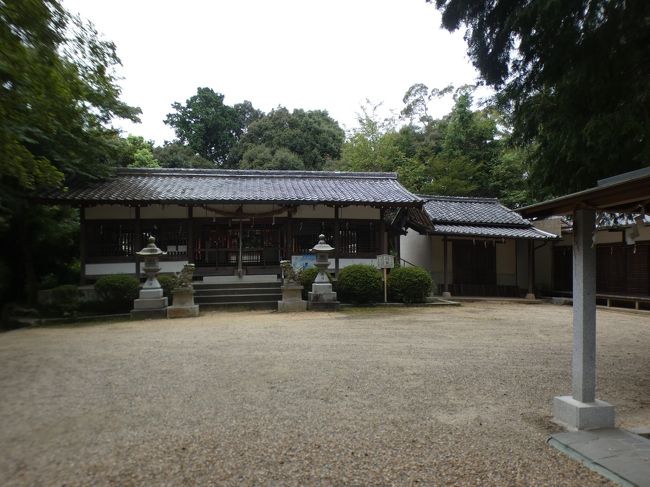 2020年9月18日(金)のお昼前、京田辺市の東南部、三山木地区から宮津地区に入る。宮津地区は1888年(明治21年)に制定された町村制により三山木(みやまき)村に吸収されるまでは宮津村だった。宮津村は1876年(明治9年)に宮口村と江津村が合併して誕生した村で、それぞれの村の1字ずつを取って命名されたようだ。宮ノ口と江津は今でも近鉄宮津駅に近い府道のバス停の名に残る。なお、三山木村は1951年(昭和26年)に田辺町(現京田辺市)に編入された。<br /><br />宮津地区には近鉄宮津駅があるが、この駅は1993年に輸送力強化のために開設された宮津車庫に隣接しており、当時の田辺町の要望により地域住民の利便性向上のために車庫開設の半年後に開業した。その際、京都府北西部の宮津市にある京都丹後鉄道(当時は北近畿タンゴ鉄道)の宮津駅(元々は国鉄宮津線の駅として1924年(大正13年)開業)との混同を避けるために近鉄の冠称が付けられた。午前中に近鉄京都駅から宮津行の急行が数本あり、20年ほど前京田辺に引っ越した時に、どうやって日本海側まで行くのか不思議に思ったものだ。<br /><br />三山木地区の芝山神社、念佛寺から東南東に進むと、遠藤川沿いの道に出るが、この道は三山木の府道22号八幡木津線と同志社山手の山手幹線をつなぐ道で、近年整備された新しい道。この道と府道に囲まれたところに京田辺市立の三山木小学校がある。明治6年(1873年)に山本小学校として開校した現在の京田辺市で一番古い3つの小学校の一つ。私の出た広島の小学校はその1年前に開校してるので、勝った(?)。2017年に大規模改修工事が終了し、現在は校舎の大部分が新しくなっている。<br /><br />府道を南に進み、小学校の前を過ぎると立派な石の鳥居がある。佐牙(さが)神社の一の鳥居。神社名の佐牙はかつては佐牙乃とも書かれ、「さがの、さかの、さけの、さめの」とも読まれた。また「さか、なさ」とも称され、田辺町史所載の近世古絵図には佐賀天神宮とある(注記で東朱智社ともある)。江戸時代には産土神として天神宮又は吉田明神と称され、斎主神(いわいぬしのかみ)を祀る若松明神とも称されていた。<br /><br />社伝によると飛鳥時代の573年に第30代敏達天皇の勅により咋岡(くいおか)ノ山本に創建。三山木駅の東、玉水橋の手前北側の畑の中に大神宮跡の案内板があり、ここが旧跡と説明されている。現在地に移転したのは、平安京のスタートの年794年とも、室町時代の永享年間(1429年から1441年)とも云われる。その後、1509年に土地争いの兵火により本殿を焼失し、1514年に再建されるが、安土桃山時代の1576年に再び焼失。1585年に再建された。<br /><br />現在は北殿に佐牙(佐賀)弥豆(彌豆)男神(さがみづをのかみ)、南殿に佐牙弥豆女神(さがみづめのかみ)と天津神吉田大明神を祀っている。古事記に大陸からの渡来人兄弟が酒造りを行ったとあり、それに関連して佐牙弥豆男神と佐牙弥豆女神がこの神社に祀られ、造酒の神として、毎年、大内造酒司の官人が幣帛を捧る神社となったようだ。佐牙は「さけ」と読み、酒を意味するとも云う。<br /><br />傍らに「式内佐牙神社」の石標が立つ一の鳥居を抜けて西に進むと、朱塗りの二の鳥居が立ち、やや急な石段に続く。石段は大きく2つに別れ、中間にちょっとした平場があるが、ここに明治元年(1868年)に出された神仏分離令後の廃仏毀釈により廃寺となった神宮寺の恵日寺(えにちじ)があった(下の写真1)。<br /><br />恵日寺のご本尊の南北朝時代の不動明王像や平安時代の五大明王脇立の降三世明王と金剛夜叉明王、観音堂にあった千手観音立像に大般若経300巻は三山木駅の東にある寿宝寺に移された。ここは私たちもこの8月に行ったところ( https://4travel.jp/travelogue/11638345 )。大般若経は600巻あったものの半分で、残りは後に寄る正福寺に移されたそうだが、ご本尊と大威徳明王像・軍茶利(ぐんだり)明王像も正福寺に移されたとしているサイトもある。<br /><br />石段を登り切ると広い境内に出る。正面に切妻造瓦葺で、間口七間、奥行二間の拝殿があり、その奥に国の重文の本殿(元は国宝だった)。1585年の再建時に建てられたもので、白壁に囲まれた神域内に朱色が鮮やか左右ニ殿からなり、ともに一間社春日造り桧皮葺で、間口六尺、奥行五尺。ただし、向拝は1786年の後補。<br /><br />身舎(もや)三方にとりつけた6個の蟇股の輪郭は鎌倉風で、室町時代初期作とみられ、旧建物の再利用と推定されている。内部の彫刻も左右対称的なデザインからなり、特に向かって右殿正面の柏の葉とふくろうは鎌倉風の秀逸。昭和8年(1933年)に解体修理され、再建当初の姿に復元された。2002年には屋根の葺き替えとあわせて鮮やかな丹塗りが蘇った。<br /><br />本殿の左右には一間社流造銅板葺きの境内社2社が鎮座する 本殿左の太神宮は天照皇大神を祀る1786年に寄進されたもの。本殿右の蛭子神社は事代主命を祀る1796年に寄進で再建されたもの。<br /><br />本殿左側を奥に進むと神社の裏側に出る(下の写真2)。そのままさらに山の奥に進むと三山木廃寺跡の碑。三山木廃寺は飛鳥時代、7世紀末に成立したとみられ、普賢寺(現在の観音寺の前身)と同笵の素弁文の軒丸瓦、奈良時代後半の軒瓦が出土しており、かなりの大寺院と考えられている。この寺独特の宝相華文で飾られた瓦も発掘されている。寺の名前が分からないので、地名から三山木廃寺と呼ばれている。<br /><br />山の中の道をぐるっと回り込んで、ちょうど佐牙神社の南になるところにあるのが正福寺。浄土宗西山禅林寺派で1800年頃の創建。ご本尊は阿弥陀如来。恵日寺にあった大般若経の半分、300巻が移されたお寺。山門に続く参道の雰囲気はなかなかいい(下の写真3)。立派なお庭にはサルスベリがきれいに咲いていた。樹齢250年以上のカイズカイブキが建つ本堂前の広場には子供達が遊べるように遊具が設置されていたが、この日は誰もいなかった(下の写真4)。<br />https://www.facebook.com/media/set/?set=a.4606215596115095&type=1&l=223fe1adec<br /><br /><br />以上