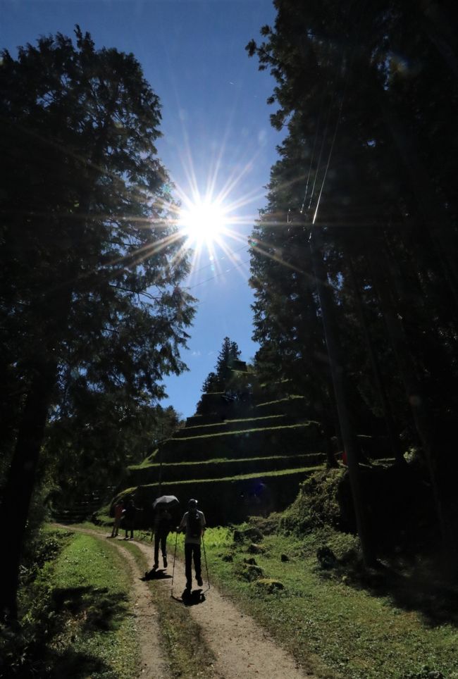 苗木城<br /><br />「絶景!山城部門」では第一位、「続・日本100名城」にも選ばれている苗木城。<br />高森山(通称城山)の山頂にある天守跡から、麓を流れる木曽川までの標高差は約170mあり、天守跡に懸造りで設置された展望台からは絶景の360°パノラマが広がる。<br /><br />岩村城<br /><br />大和の高取城(奈良県)備中の松山城(岡山県)と並ぶ日本三大山城の一つに数えられ「日本100名城」でもある。<br />城は江戸諸藩の府城の中でも最も高い所(標高717m)に築かれ、高低差180mの天嶮の地形を巧みに利用した要害堅固な山城で、霧の湧き易いのでも有名。<br />悲しい涙を誘う女城主でも知られている。<br /><br />山の会で、久しぶりに参加して歩いてきました。<br /><br />表紙は岩村城城跡