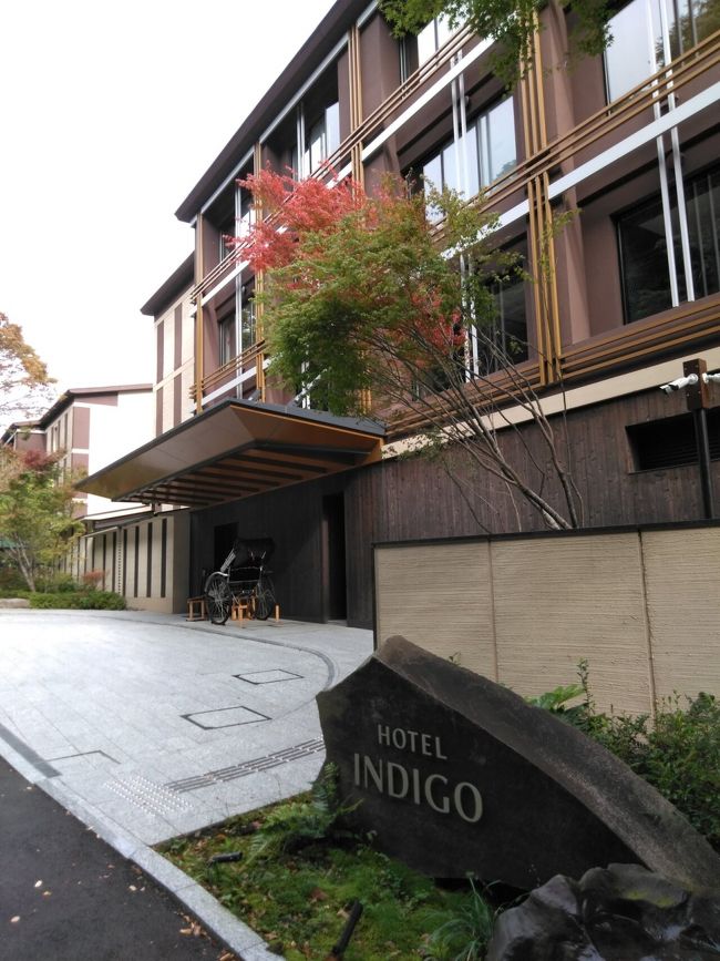 インディゴ箱根 に泊まると ます釣り が近い 楽しい 翌日は芦ノ湖の龍宮殿ランチ 芦之湯 大平台 宮城野 神奈川県 の旅行記 ブログ By Wakupaku2さん フォートラベル