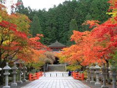 高野山の紅葉。　高野龍神スカイラインの護摩壇付近は濃霧でした。