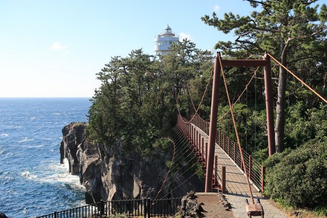 城ヶ崎海岸の吊り橋へ行ってきました。<br />以前より駐車場が広くなり有料になってました。<br />一回500円でした。