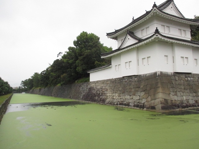 ９月に入って旅行社のパンフが郵便箱に入りだしました。<br />見ると「ゆったり京都７日間」等とあります。<br />そうだな～、外国人のいない京都奈良は今がチャンスだな～と思い３月にキャンセル延期のUA（ユナイティド航空）のマイルで大阪伊丹往復を予約。<br />ホテルは京都・橿原・奈良に各２泊づつ。６泊７日の国内旅行です。<br /><br />１日目　羽田⇒伊丹　高速バスで京都　東山さんぽ　東急ホテル泊<br /><br />ここです↓<br />２日目　京都御所他　市バス１日券で市内さんぽ　　東急ホテル泊<br /><br /><br />３日目　橿原神宮前へ移動　かめバスで飛鳥さんぽ　　ザ・橿原泊<br />４日目　かめバス周遊で飛鳥さんぽ　パート２　　　　ザ・橿原泊<br />５日目　自転車で橿原さんぽ　奈良へ　国立博物館　奈良ホテル泊<br />６日目　高畑さんぽ　　奈良町さんぽ　　　　　　　奈良ホテル泊<br />７日目　奈良町さんぽパート２　高速バスで伊丹　伊丹⇒羽田　　　<br /><br /><br />雨で天気が悪いものの、バス１日券で市内さんぽに出かけます。<br />