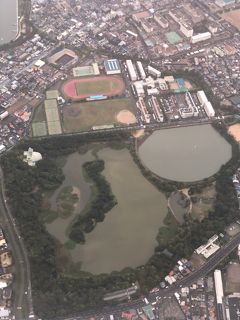 2020年10月兵庫県私鉄落葉拾いの旅9（ＡＮＡ便乗り継いで帰途）