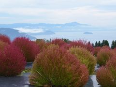 びわこ箱館山に遊ぶ