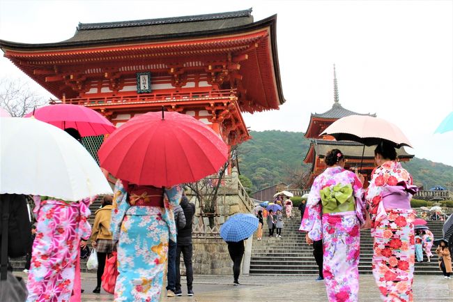 錦秋の古都京都世界遺産を巡る③（仁和寺、金閣寺、清水寺）