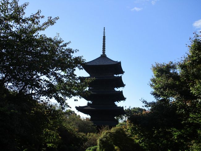 今月から国立博物館で開催されている「皇室の名宝」展を見に、京都まで日帰り遠足してきました。<br />でもメインは祇園でのフレンチうまうまランチです～(#^.^#)