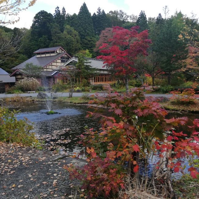 テレビで取り上げられてから、かなり混雑するようになってしまった蔦沼の紅葉。<br /><br />10月13日に蔦沼の紅葉を見に行ったら結構空いてて快適でした！<br /><br />コロナはもちろん、平日でさらに時期が早かったせいですね。