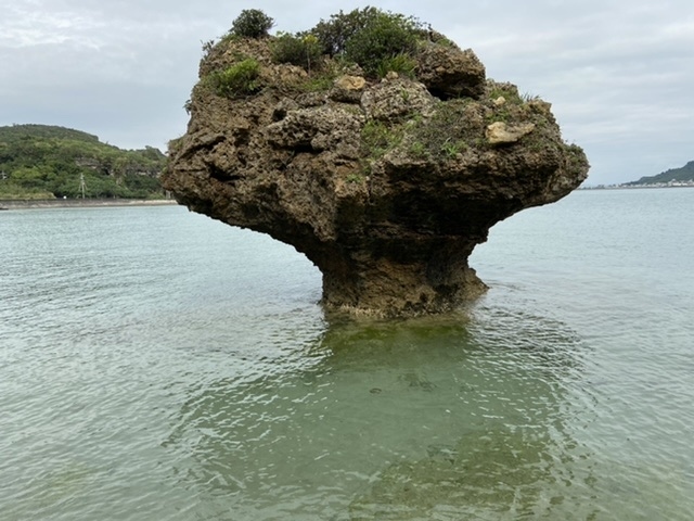 ３月末、自粛直前の沖縄です。夫婦と娘の３人旅です。