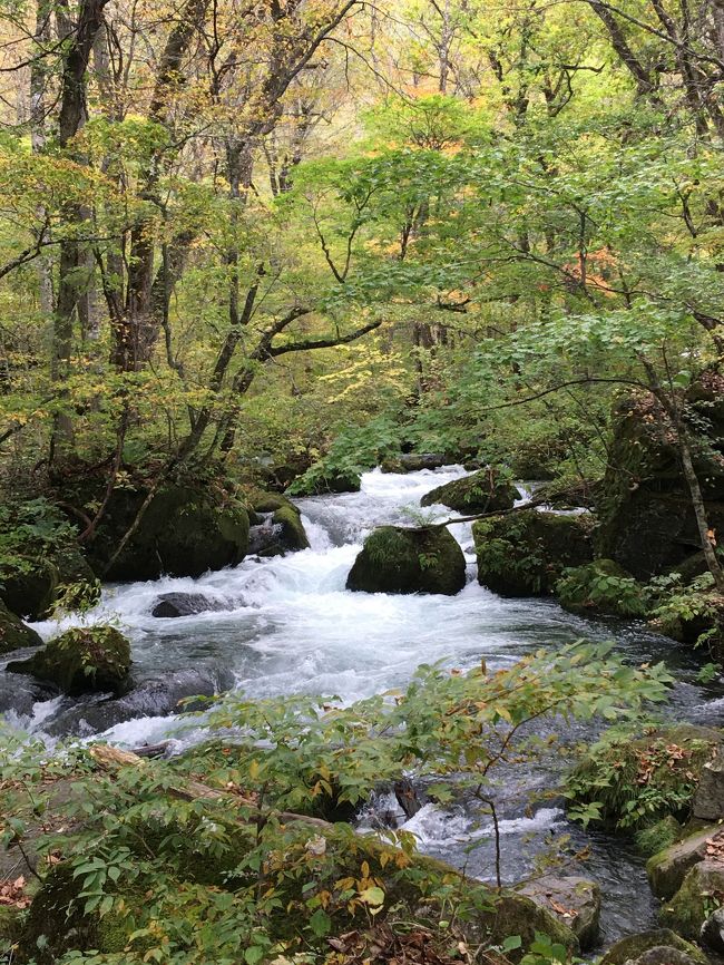 紅葉と大好きなりんごの季節に青森行ってみたいね、で始まった今回の旅行。後半、残念なお知らせがあり急遽予定変更。まぁ、旅にトラブルは付き物。それもいい思い出になりました。<br /><br />①10/16 羽田ー大館能代空港、花善（昼）十和田湖、奥入瀬散策。<br />酸ヶ湯温泉泊<br /><br />②10/17城ケ倉大橋、地獄沼、まんじゅうふかし、睡蓮沼、あすか（昼）、道の駅アップルヒル、中町こみせ通り<br />ホテルアップルランド泊<br /><br />③10/18弘前りんご公園、岩木山神社、山陽の茶屋（昼）、道の駅アップルヒル<br />ドーミーイン弘前泊<br /><br />10/19大館能代ー羽田空港<br /><br />羽田ー大館能代空港はユナイテッドの特典航空券<br />宿はgo toトラベル、レンタカーはオリックスレンタカー。<br /><br />