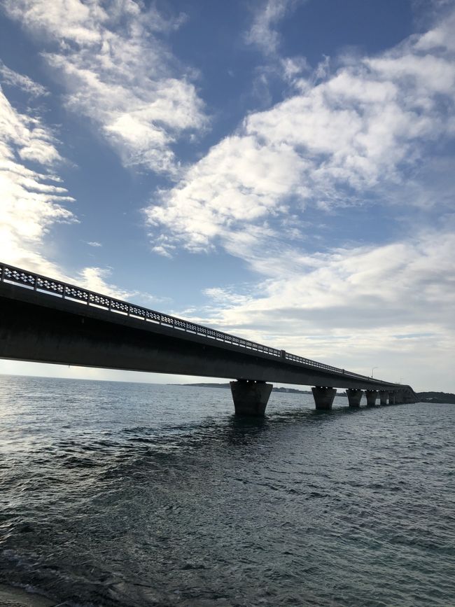 3月にANAマイルで、セントレアから那覇空港乗り継ぎ宮古空港の航空券を押さえていました。<br /><br />旅行を控えるべきか、行くにしてもリゾートホテルにお篭りするべきか迷いましたが、当初の予定通り、レンタカーを借りて、マスク必須で感染予防に気を付けながら旅行に行ってきました。<br />