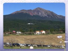 高千穂牧場にコスモスを見に～霧島温泉市場に