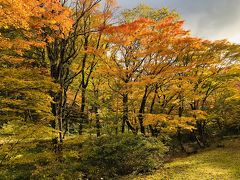 紅葉の平湯からせせらぎ街道へ