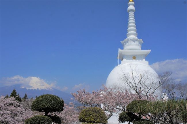 2020年４月　仙石原ススキの原一の湯新館に泊まって翌日は御殿場とかあちこちお花見