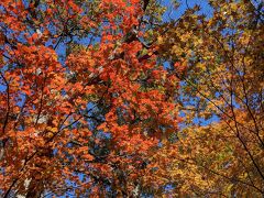 北海道・紅葉と温泉とグルメ旅 前編