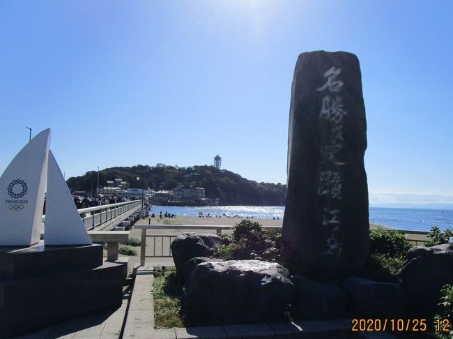 秋の好天に恵まれた日曜日の「江ノ島」は、如何なっているかと出かけました。「江ノ島」は大勢の観光客で賑わっていました。夏のシーズンよりは少ないのですが多かった。GOTOトラベルキャンペーンの利用もあるのか、家族連れの人々も多く見られます。<br />「江ノ島~鎌倉」は東京から近くて、一泊二日の周遊するには絶好の観光地ですが、お車での観光はおススメ出来ません。夏の季節ほどではありませんが、今日も道路は大渋滞で駐車場も満杯状態でした。
