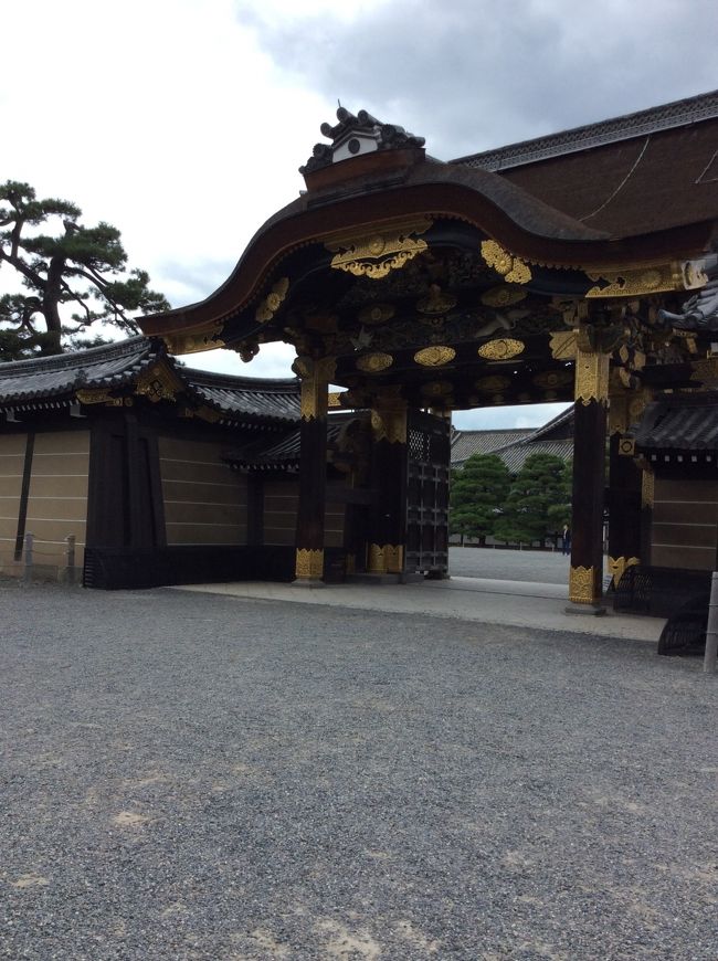 本当にむかしむかしに遠足で二条城へ行って以来の観光です。遠足時のことは行ったと言うだけで、あとは何も覚えていません。この歳になって入口の門を見ても感激、感激です。