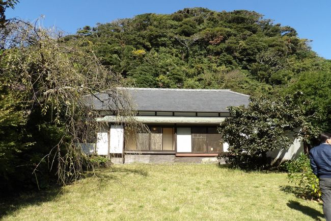 　朝からの秋晴れで、富士山も綺麗に見えている。こんな日には北鎌倉駅で途中下車して富士山を見て、一電車遅らせて鎌倉駅に向かうのであるが、今日は湘南新宿ラインで電車に遅れが出ており、鎌倉駅から目的の吉屋信子記念館までは徒歩で30分程度を見込むと時間に余裕がないと思い、途中下車して富士山を眺めるのは断念した。<br />　鎌倉市長谷1にある吉屋信子記念館までは20分程度であった。結果、公開開始時間までは40分近く空いてしまった。時間の見積もりに失敗してしまった。前の見学者は一家3人で、次の時間の見学者は私一人で、15分前に入場すると、時間前から見学できるという。庭で前の見学者とお話したが、一条恵観山荘（https://4travel.jp/travelogue/11303017）は行ったという。それではと、春と秋に公開される扇湖山荘（https://4travel.jp/travelogue/11475988）は素晴らしいことを伝えた。しかし、帰ってから鎌倉市のホームページを見ると春に引き続いてこの秋の公開も中止になっている。<br />　吉屋信子記念館は作家 吉屋信子さんの遺志により土地・建物などが鎌倉市に寄贈されたもので、ありし日のままに保存されているとされる。表門や築地塀などの建物は、吉田五十八氏（近代数寄屋建築の第一人者）により設計されたもので、公開中の3LDK部分、おそらくは4LDKの平屋建ての住居は鐘に糸目を付けなかったと言われ、扇湖山荘に多少は似ている。吉屋信子氏は同性愛者であり、50年以上パートナーの千代と共に暮らしたという。書斎の奥、寝室の向かいに公開されていない部屋があるのだが、4LDKの平屋建てであったのであろう。<br />　南の芝生の庭に面した縁側は幅が4尺で、庇部分に当たる。この天井は傾斜している。全ての部屋の天井は五十八氏の意匠で全てが異なっている。また、建物の柱は角を落としてあり、玄関の基石も同じように角を落としてある。柱の角を落とすのは平カンナで簡単にできようが、柱を載せる石の角を落とすのは大変であろう。すなわち、お金が掛かっているということだ。<br />　居間と一段高い畳敷きの座敷には4尺の縁側が付いているのだが、間が仕切られており、違和感を感じた。それに居間から庭に下りるところには敷石が置かれ、和風な感じがする。しかし、居間は洋風で鎌倉彫のテーブルや椅子は五十八氏が見繕ったものだという。<br />　台所などは団地のような設計ではある。しかし、居間の障子は4尺で台所の障子は3尺であり、同じデザインの障子でそれぞれ南側の庭と北側の庭を切り取っている。こうしたことはこうした注文建築ででもないとできないことであろう。<br />　書斎の棚はまるで一条恵観山荘（https://4travel.jp/travelogue/11303018）で見た棚に似ている。おそらくは、近代数寄屋建築には17世紀にあった数寄屋建築も取り入れられているのだろう。<br />　建物をゆっくりと見学して、表から見える表門や築地塀の板張りが五十八氏の設計であることが理解できた。<br />（表紙写真は吉屋信子記念館）