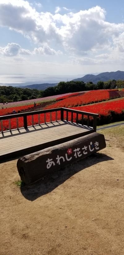 久しぶりに阪急さんの日帰りバスツアー (^^)/<br />今回は「大塚国際美術館とウェスティンホテル淡路のランチブッフェ」<br />大塚美術館がメインですが<br />淡路島も良かったです(^○^)<br /><br />まずは大阪から淡路島の「花さじき」へ<br />お天気にも恵まれて<br />青空の下のお花畑はとてもきれい(*^^*)<br /><br />「ウェスティンホテル淡路」様も<br />「グランドニッコー淡路」様になっておりましたが<br />流石は高級ホテルのランチブッフェ<br />お料理が素敵で食べ過ぎてしまいました<br /><br />そしてメインの「大塚国際美術館」!!<br />素晴らしすぎて<br />美術館内で1万歩近く歩きましたわ<br />ただ滞在時間を3時間と長くとって下さっていたのですが<br />3時間などあっという間<br />有名どころは押さえたと思うのですが・・・<br /><br />バスツアーは楽で良いですね<br />ガイドさんも7ヶ月の間<br />お仕事も無くステイホームだったそうです<br />これから徐々にお仕事が増えてゆくと良いですね<br />もちろん感染対策は万全に(^_-)-☆<br /><br />前編淡路島です<br /><br /><br /><br />