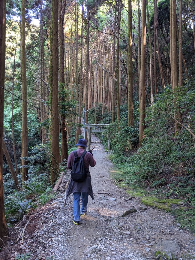 GOTOトラベル利用して原鶴温泉へ。<br />現地直行では時間も余るから、久留米経由で高良山へ登りました。<br /><br />ツアーに参加したり、飛行機を利用したりするにはまだ勇気がないので自家用車で温泉一泊の旅行となりました。