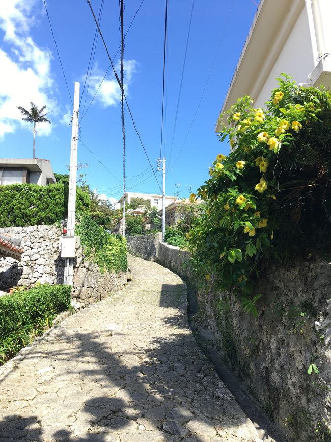 今日の日帰り那覇往復で今年の修行も最後です。まだまだ夏の那覇でも湿度がやや下がってきて活動しやすい気候になりました。古い街を歩いてみたいと思い、首里駅から金城町の石畳経由おもろまち駅まで、およそ3.5kmを散歩しました。<br />