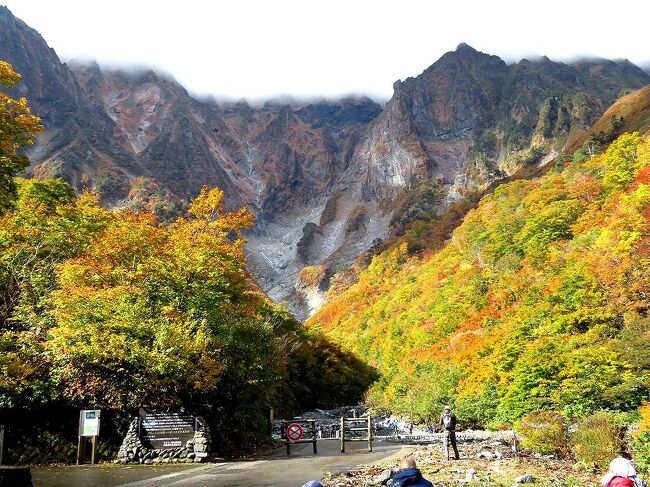 2020年の三度目の日本紅葉巡りドライブは、北関東の谷川岳と日光周辺を巡ることに。二日目は谷川岳の一ノ倉沢へ。天気予報通り、朝から快晴に恵まれ、絶好のハイキング日和になりました。（表紙写真は、一ノ倉沢の岩峰と紅葉）<br /><br />＜今回の旅程＞<br /><br />10/23  東京ー（中央道、圏央道、関越道）－＞前橋IC<br />　　　ー＞榛名神社ー＞榛名湖ー＞伊香保温泉（泊）<br /><br />10/24  伊香保ー＞渋川IC－（関越道）－＞水上IC<br />　　　ー＞谷川岳ロープウェイ乗り場<br />　　　　（一ノ倉沢まで往復トレッキング）<br />　　　－＞（奈良俣ダム、照葉峡）－＞丸沼高原（泊）<br /><br />10/25  丸沼高原ー＞中禅寺湖ー＞中禅寺湖スカイライン<br />　　　　　　　　（半月山展望台登山）<br />　　　　－＞湯滝ー＞奥日光湯元温泉（泊）<br /><br />10/26 湯元温泉ー＞明知平ー＞中禅寺湖畔（泊）<br /><br />10/27 中禅寺湖畔ー（東北道、圏央道、中央道）－＞東京