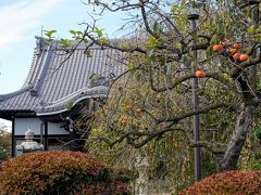 日光街道を歩く（茨木県古河市～栃木県野木町）