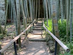６月の鎌倉～竹林の美しい英勝寺～鎌倉五山第三位の寿福寺　　小町通りをぶらぶら♪