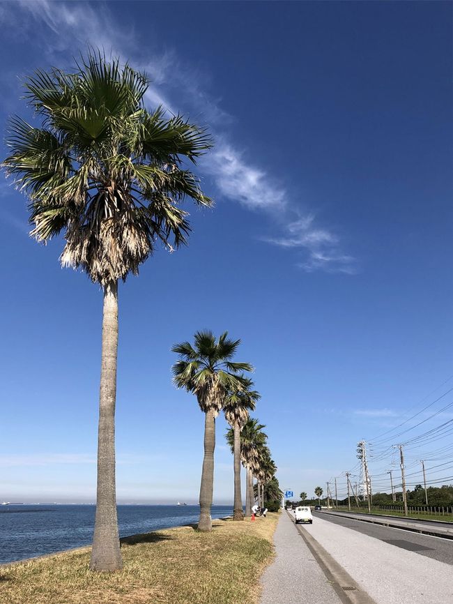 晴天の秋空の下、サイクリングしてきました。