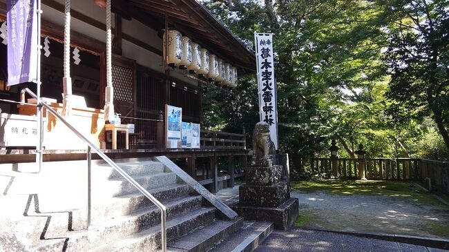 　某天皇と不倫の噂のお相手、怪僧として有名な道鏡の座像がその天皇縁のお寺に奉納されるという某新聞の記事を読みました。出身地八尾で見つかった道鏡縁の由義寺の基壇跡などから東大寺クラスでは無いかと推測され、国の史跡に指定されたことが切っ掛けで、寺や道鏡を顕彰する市民の意識が高まっている。その成果の一つだと言う。