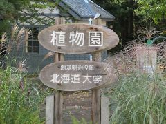何十年ぶりでしょう　～北海道大学植物園～　探訪記　①