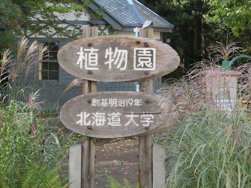 何十年ぶりでしょう ～北海道大学植物園～ 探訪記 ①』札幌(北海道)の旅行記・ブログ by mzwさん【フォートラベル】