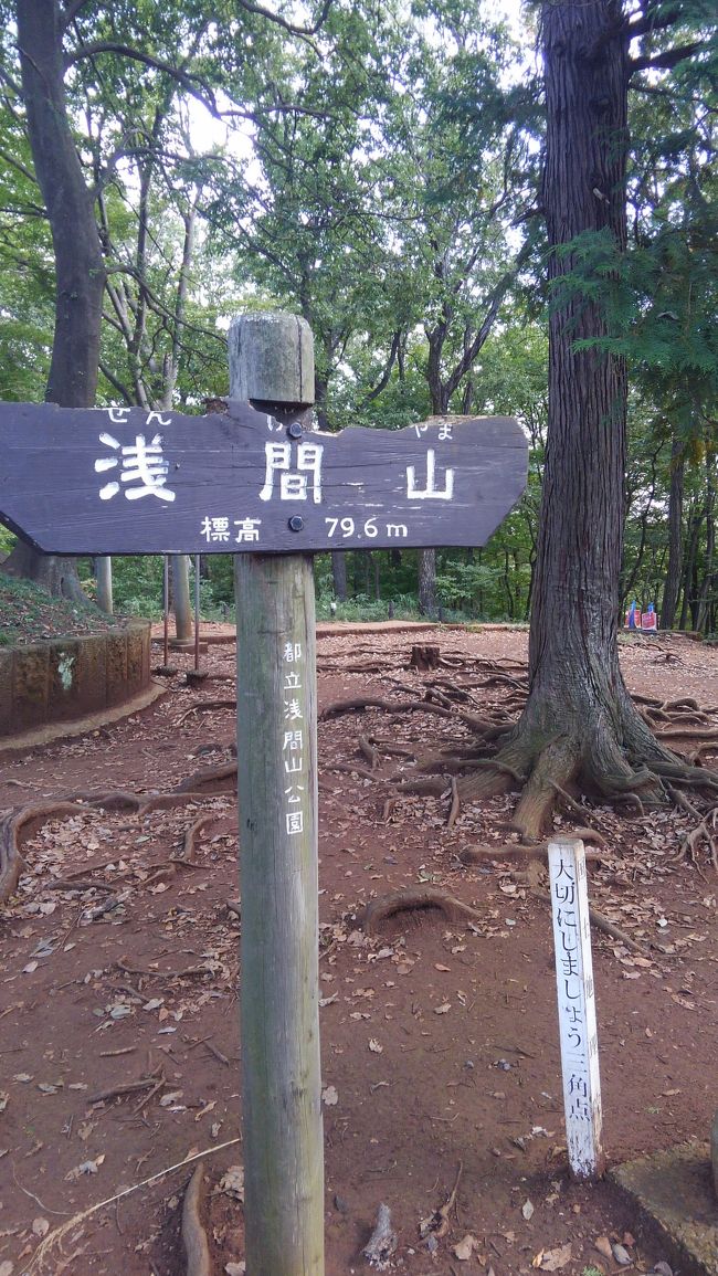 京王線･府中駅からバスで5分くらいのところにある、浅間山(せんげんやま)公園をひとり散歩しました。一時間半程歩き周り、近くの古民家レストランで韓国料理ランチしました。