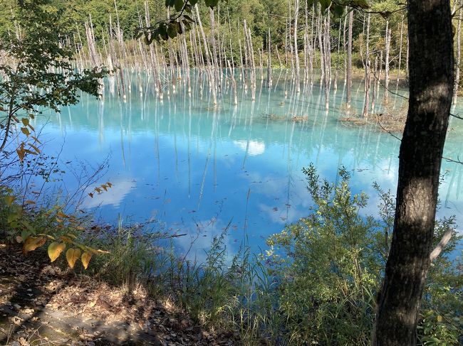 久しぶりの北海道。<br />２週間ほど前に予約すると、レンタカーを借りるのが大変やった。<br /><br />2人なのにハイエースしかなくて…レンタカーが不足なんて考えたことなかった。<br />なんとか2日借りれたけど、スケジュール組むのもなんか大変でした。<br /><br />でも、やりきった！