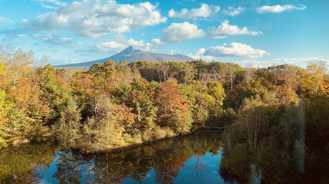 32年ぶりの函館大沼でセグウェイツアー