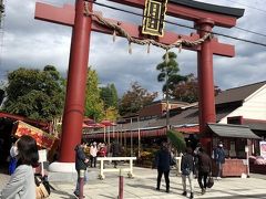 3人と1匹のおばさんの筑波山で一泊