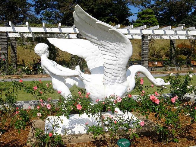 生田緑地ばら苑の秋薔薇 登戸 新百合ヶ丘 神奈川県 の旅行記 ブログ By Empenguinさん フォートラベル