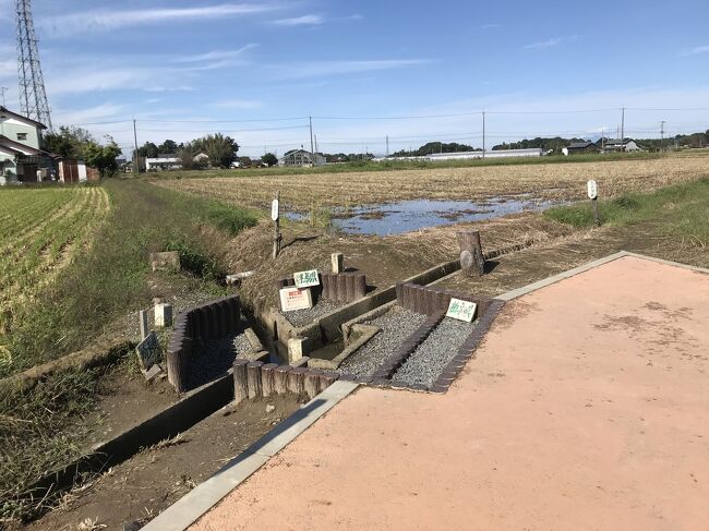 埼玉、群馬、栃木の三県が接する県境に行き、埼玉県行田市周辺をお散歩しました。<br /><br />今年、最も遠くへ行った(｡-_-｡)