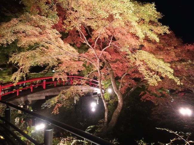 以前より行ってみたかった伊香保温泉。<br />特に伊香保の石段には興味があったので行ってみました。夜はノスタルジックな雰囲気で最高でした。<br />そして河鹿橋が現在ライトアップ中。幻想的な景色をありがとう!という感じでした(^^)