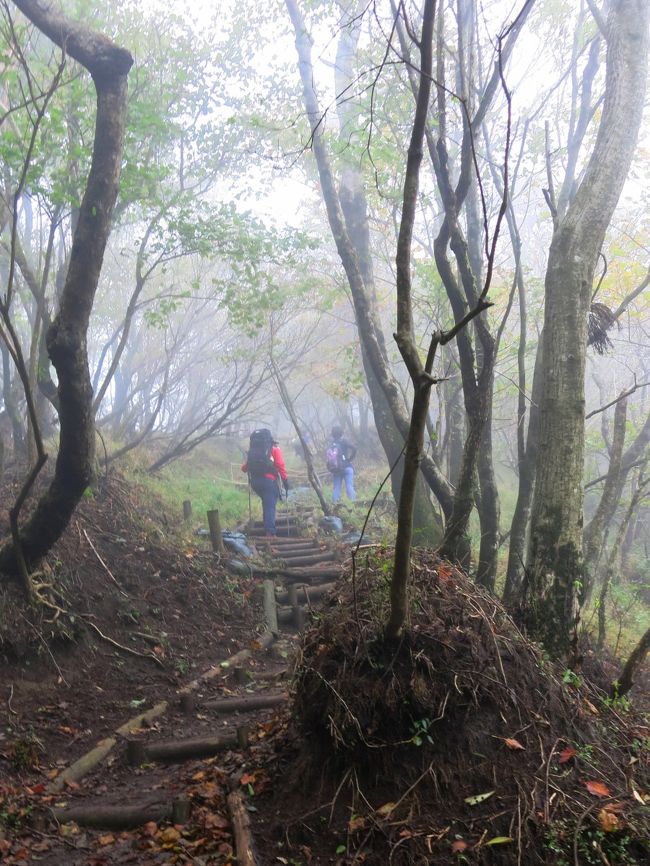 コロナで不自由なうえに、週末のたびに雨が降り、練りに練った山行は2座とも不発に終わり、なんとも消化不良続きで悶々としていたら、何か月ぶりだ？と言うくらいに「晴天」予報の週末。<br />遠出するには準備の時間がない、となれば丹沢に行くしかないでしょ！<br />というわけで、秋晴れ(予報)の週末、連日の丹沢山行を強行。<br /><br />まずは王道の表尾根、三ノ塔を目指す。<br />え、塔ノ岳じゃないの？　との声もあろうが、翌日に体力を残しておくためにまずは軽めに。<br />そして下山路は初めての「三ノ塔尾根」を使うというもの。<br />久しぶりの丹沢表尾根、高揚！