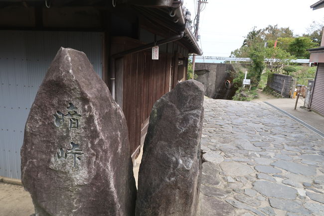 良い意味ではないけれど、今年ほど「県境をまたぐ移動」が注目された年はないと思います。そんな今だからこそ、境を自分の足で越えたい…と思っていたところに、ぴったりの場所を大阪と奈良の県境に見つけたわけです！<br /><br />暗越奈良街道(現在は国道308号)…かつては大阪-奈良の最短ルートとして栄えた道です。東大阪市からは暗(くらがり)峠で生駒山地の県境を越えて、奈良方面に下ります！<br />距離は短いけど、一方通行あり、急坂あり、狭隘道路あり…の国道いや酷道ウォーキングへ！(^^)d