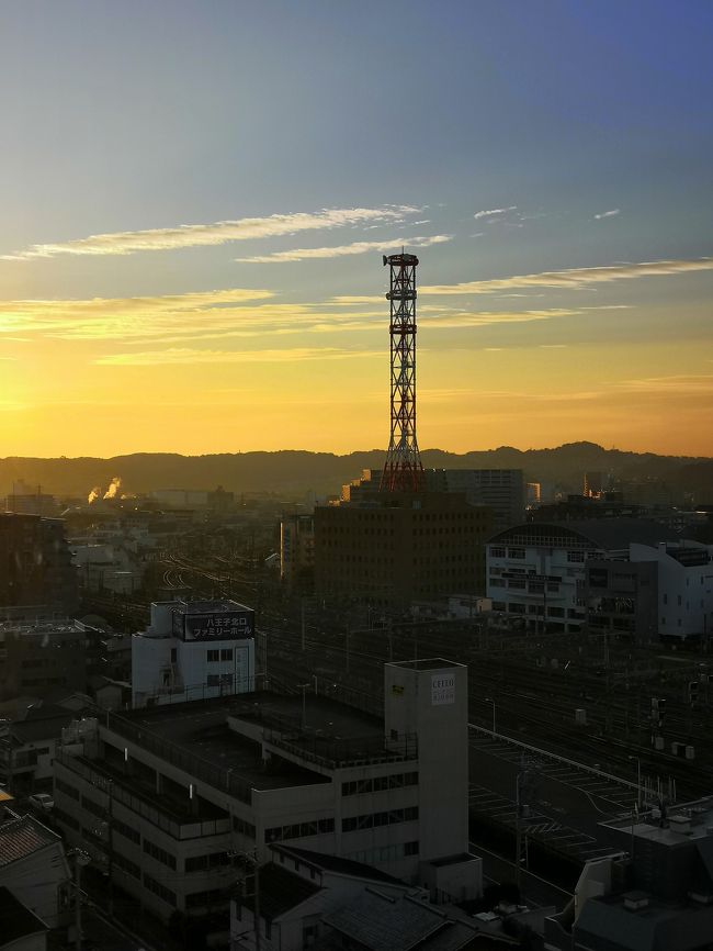 今回は　新宿で友人と　久しぶりのランチ。<br />コロナから　23区内、初の外食。<br />ついでに、ホテルに泊まることにしました。<br />東京に生まれ 東京で育ったけど 灯台下暗しで 知っているようで知らない東京<br />ちょっと行かない間に どんどん変わっていく東京<br />新しい発見が あります。<br />今回は go to travel go to eat もっと楽しもう TOKYO TOKYO 使って 激安の旅でした<br />ゆっくりするつもりが 意外にも時間がかかってしまい ドンキホーテで 1階から6階まで 見ているだけで 4時間かかってしまいました。<br />観光には程遠いけど こんなにじっくり ドンキホーテを見たのも初めてかもしれません。<br />しかし 地域共通クーポンの 電子クーポンは本当に使いづらいです。<br />トラブルもありました！<br />電子クーポンが2枚になってしまい 1回目は良かったのですが 2回目は レジで 操作ミス。<br />お店の人も 使い方を把握していないようで かなり時間がかかってしまいました。<br />2枚使ったと ナンバーをコピーして見せたりして 30分以上 かかってしまいました。<br />こちらも よく理解できていなかったので 悪かった点もあると思うのですが 都庁の方でも もう少し わかりやすい 誰でも簡単に操作できる クーポンにしてほしかったと思います。<br />また 電子クーポンは 使えるお店が凄く少なく 本当に扱いづらいです。<br />極力 紙クーポンにしようと 切実に感じました。<br />