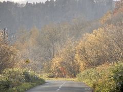 豊富温泉9～11日目　北海道にイノシシっていたっけ(・・;)  新鮮なお肉でぼたん鍋♪